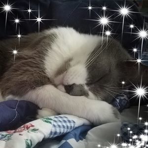 Meet your Posher, Barbara